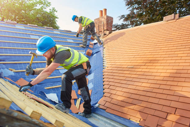 Best Roof Moss and Algae Removal  in Westminster, CA